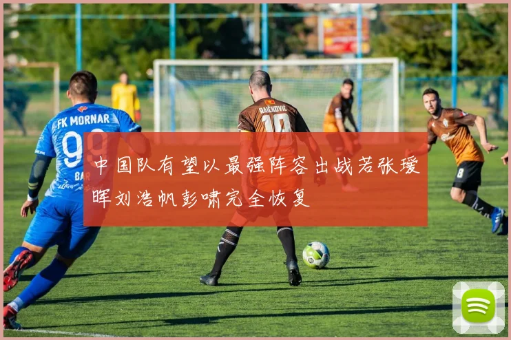 中国队有望以最强阵容出战若张瑷晖刘浩帆彭啸完全恢复